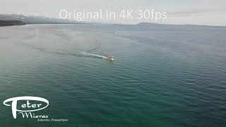 Fly towards herring fish boat 4K stock footage