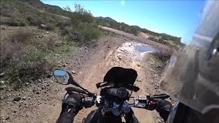 Tiger 800XC Suspension Test with Andreani Misano Cartridges