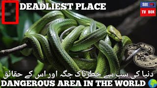 World's most dangerous place|دنیا کی سب سے خطرناک جگہ اور اس کے حقائق | Ilha da Queimada Grande