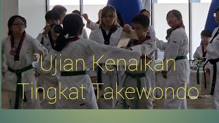 Ujian Kenaikan Tingkat Takewondo #nenggalatakewondo  #family  #borubatak #anakbatak #takewondo