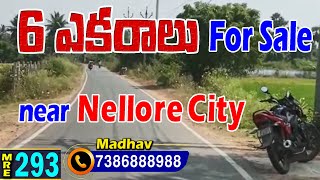 6 ACRES FARM LAND FOR SALE || NELLORE CITY || MedhanshiRealEstate || 7386888988 || MRE-293