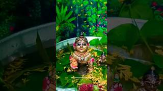 Laddu gopal snan।Laddu gopal short video।Laddu gopal status #shorts #ytshorts #viral