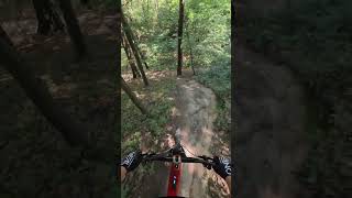 Enduro on ebike #mtb #enduro #ebike #trekbikes #rail #bosch #cx #insta360go3 #nature #bike #czech