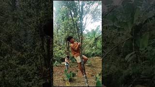 Athar dan Annasya Ke Kebun #shortvideos #short #shorts #video #bermain #bermainbersama #baby #cute