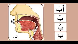 Practicing the letter باء