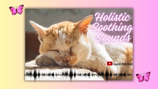 Holistic Soothing Sounds for Scared Pets: Calming Music for Cats & Dogs