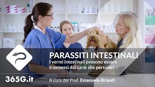 Parassiti Intestinali #2 | I vermi intestinali possono essere trasmessi dal cane alle persone?