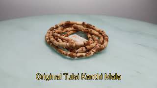 MAYAPURI Original Tulsi Kanthi Mala / Tulasi Kanthi Mala/Holy Basil Necklace