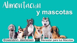 La importancia de la alimentación en nuestras mascotas