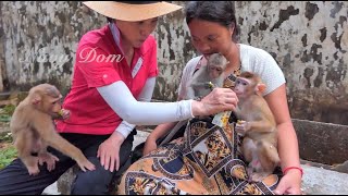 Madam Yu kim and KT feed Shakira and others together. Thank madam for loving monkeys in Cambodia