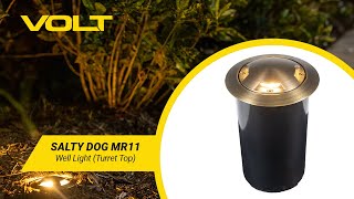 VOLT® Salty Dog MR11 Turret Top Brass Well Light (Bronze) | What's in the Box?