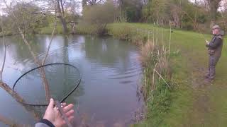 #Flyfishing Lechlade UK Still water #troutfishing Trout fishery, huge trout, Wychwood 10ft 7wt.