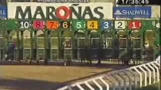 Varios Cuerpos. Hipodromo Nacional de Maroñas. Montevideo Uruguay