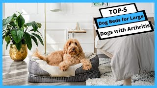 ✅ Best Dog Beds For Large Dogs With Arthritis (Buyer's Guide)