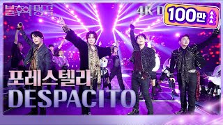 [Drone Bonus Ver.] 포레스텔라(Forestella) - DESPACITO [불후의 명곡2 전설을 노래하다/Immortal Songs 2] | KBS 230715 방송