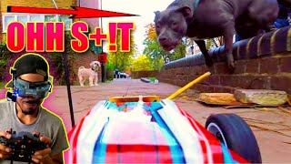 FPV Rc Car In N Out Troll Prank vs AMERICAN BULLY PUPPY