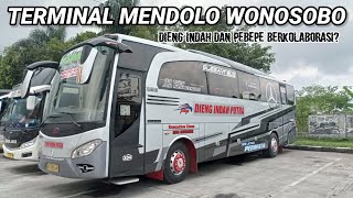 Terminal mendolo Wonosobo ||  PEBEPE berkolaborasi dengan Dieng indah?