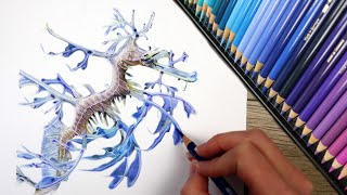 How to Draw a Leafy Seadragon / Seahorse tutorial with COLOR PENCIL!!