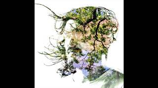 Bibio - Old Graffiti