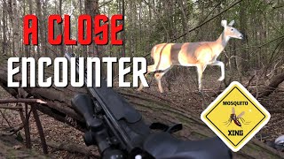 SUPER CLOSE deer encounter while hunting on the ground