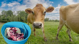 Homemade Blackberry Basil Ice Cream