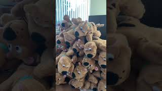 Scooby-Doos Beanie Babies & Unicorn Plushies #scoobydoo #shorts #shortvideo #asmr #unicorn