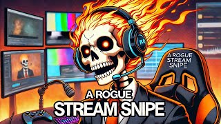 A Rogue Stream Snipe - Mister Metokur