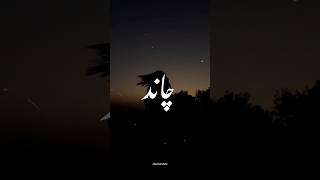 Chand Sarmayega Chandni raat mein🖤🌙• Aesthetic video • Urdu lyrics status•#shorts#nusratfatehalikhan