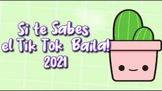 Si te sabes el Tik Tok Baila ✨2021✨ #sitesabeseltiktokbaila  #tiktok