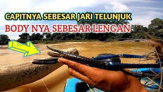 REKOR!! MANCING UDANG GALAH TERBESAR TAHUN 2021