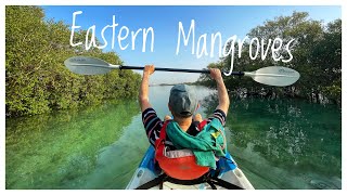 Eastern Mangroves Kayak Abu Dhabi | 4K