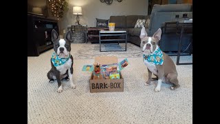 Toby and Leo's first BarkBox! Scooby Doo themed!