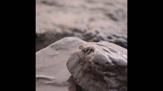 Sunset Rocks and Waves at Fayette Historic Park Campground #Shorts