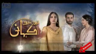 Teri Meri Kahani Full OST Song - HUM TV DRAMA