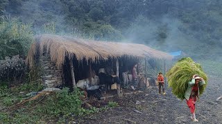 Organic Nepali Mountain village Life | Daily Activities Of Remote Nepali Village With Organic Food |