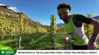 Presentata la 'Valtellina Wine Trail', corsa tra cantine e vigneti