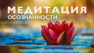 Утренняя медитация осознанности | Медитация майндфулнесс