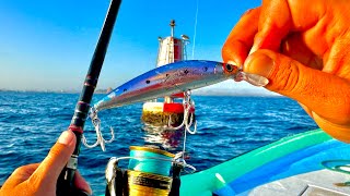 ESTE SEÑUELO nos DIO BUENA PESCA en MAR ABIERTO. .