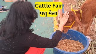 Cattle Fair | पशु मेला | Moshi, Pimpri Chinchwad #blog