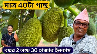 মাত্র 4০ টা গাছ থেকে বছর 2 লক্ষ 30 হাজার ইনকাম। অবিশ্বাস্যফলন হয়েছে এই বাগানে|