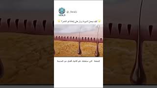 🌟 كيف يعمل الديرما رولر على إعادة نمو الشعر؟ 🌟