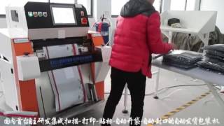 Bealead Packing Machine video