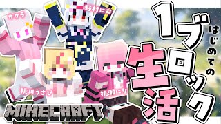 【Minecraft 1ブロック】#らぴなむ でわくわく初心者1ブロック！？【#桃瀬にな / PROJECT NEBULA】