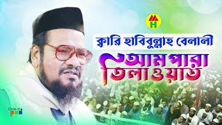 Ampara Tilawat | আমপারা তিলাওয়াত | Quran Tilawat Bangla Torjoma