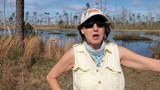 December 25, 2021 - Apalachee Wildlife Management Area