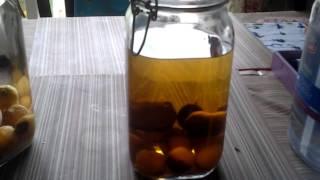 loquat liquor process