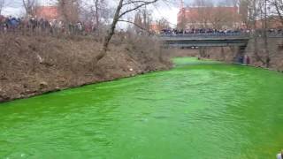 Saint Patrick Day in Vilnius. Vilnelė turns green.