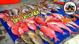 Gasak rubby snapper,kerisi dan durian di LUCONIA | Tekong Jamal | part 3