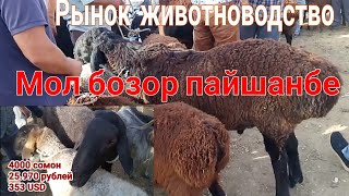 Мол бозор пайшанбе