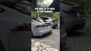 Tesla Model S Plaid vs Tesla Model Y Performance 😳